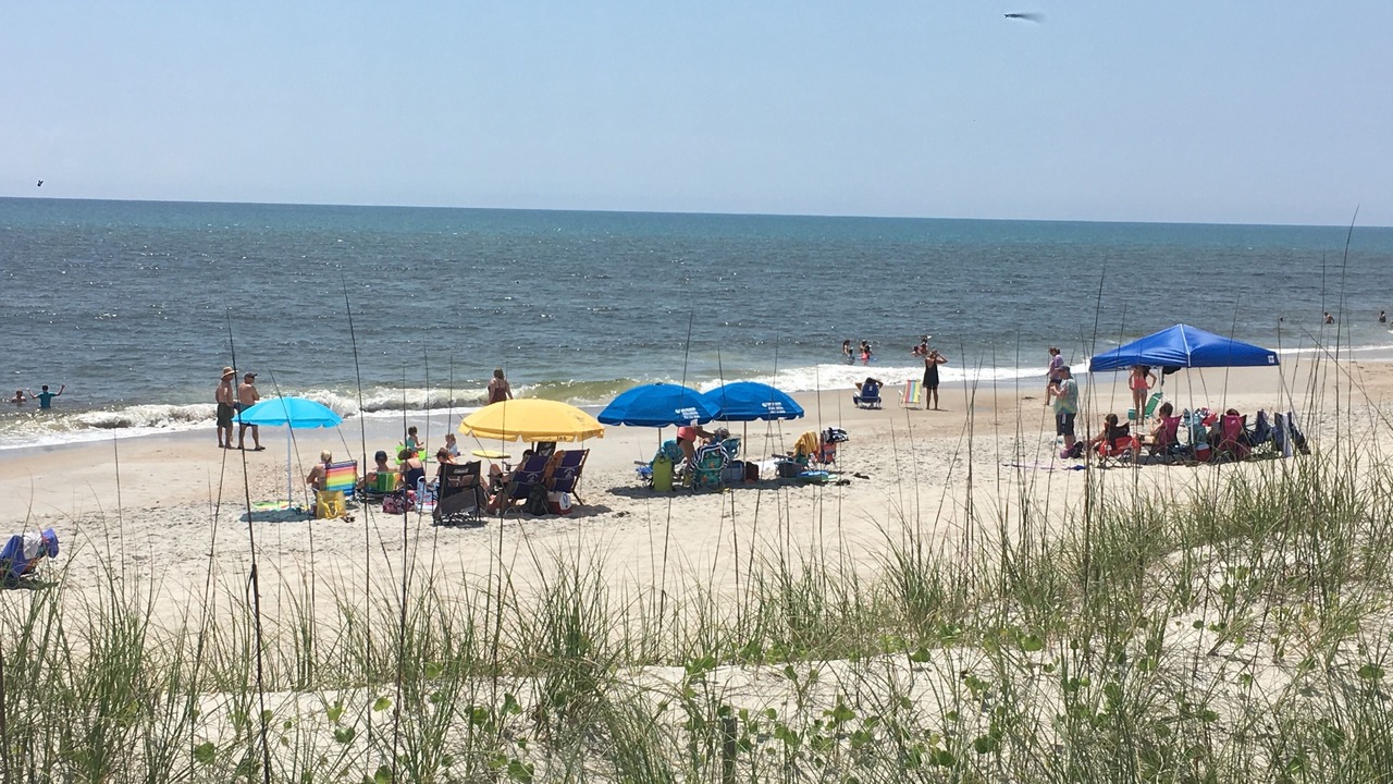 Photo of Others in North Carolina Coast