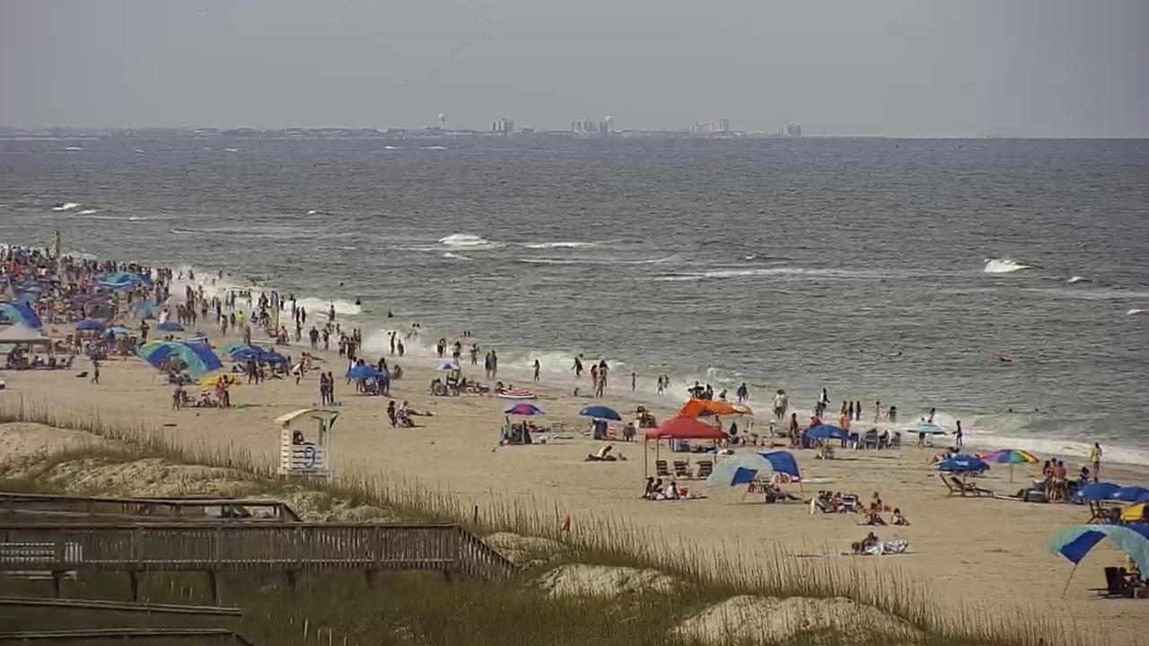 Photo of Others in North Carolina Coast