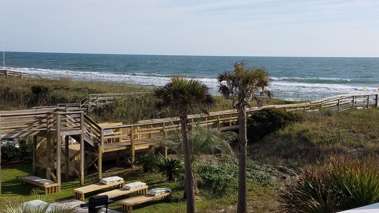 Photo of Outdoor in North Carolina Coast