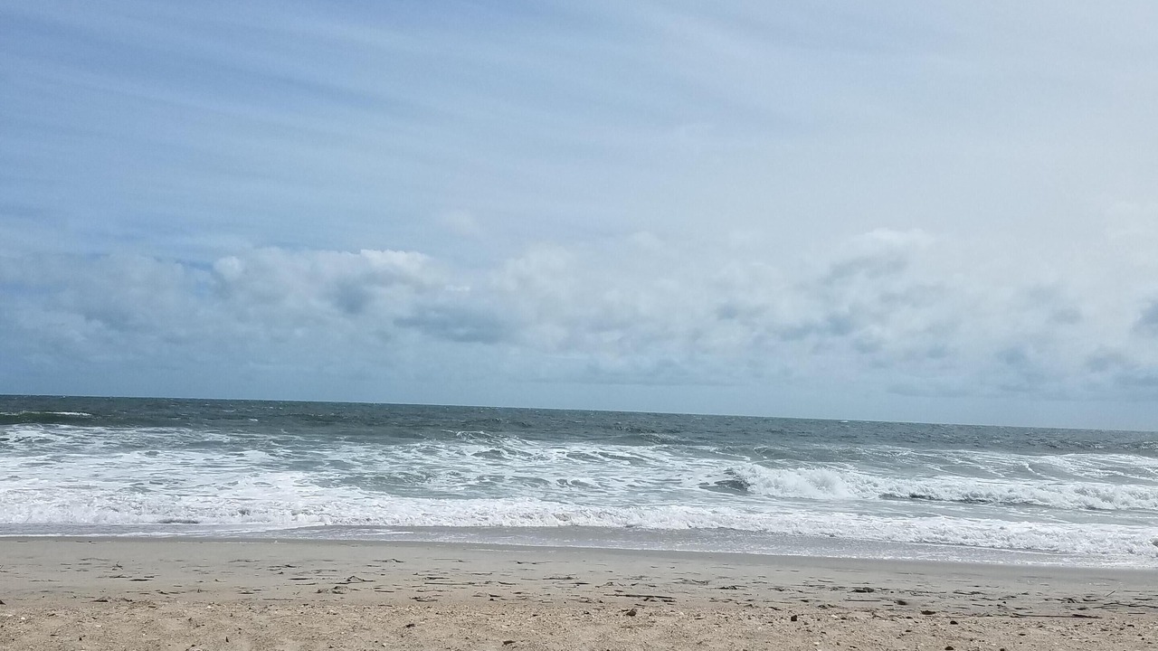 Photo of Others in North Carolina Coast
