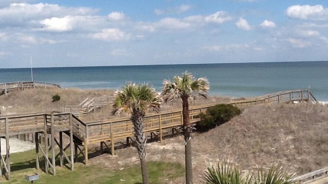 Photo of Others in North Carolina Coast