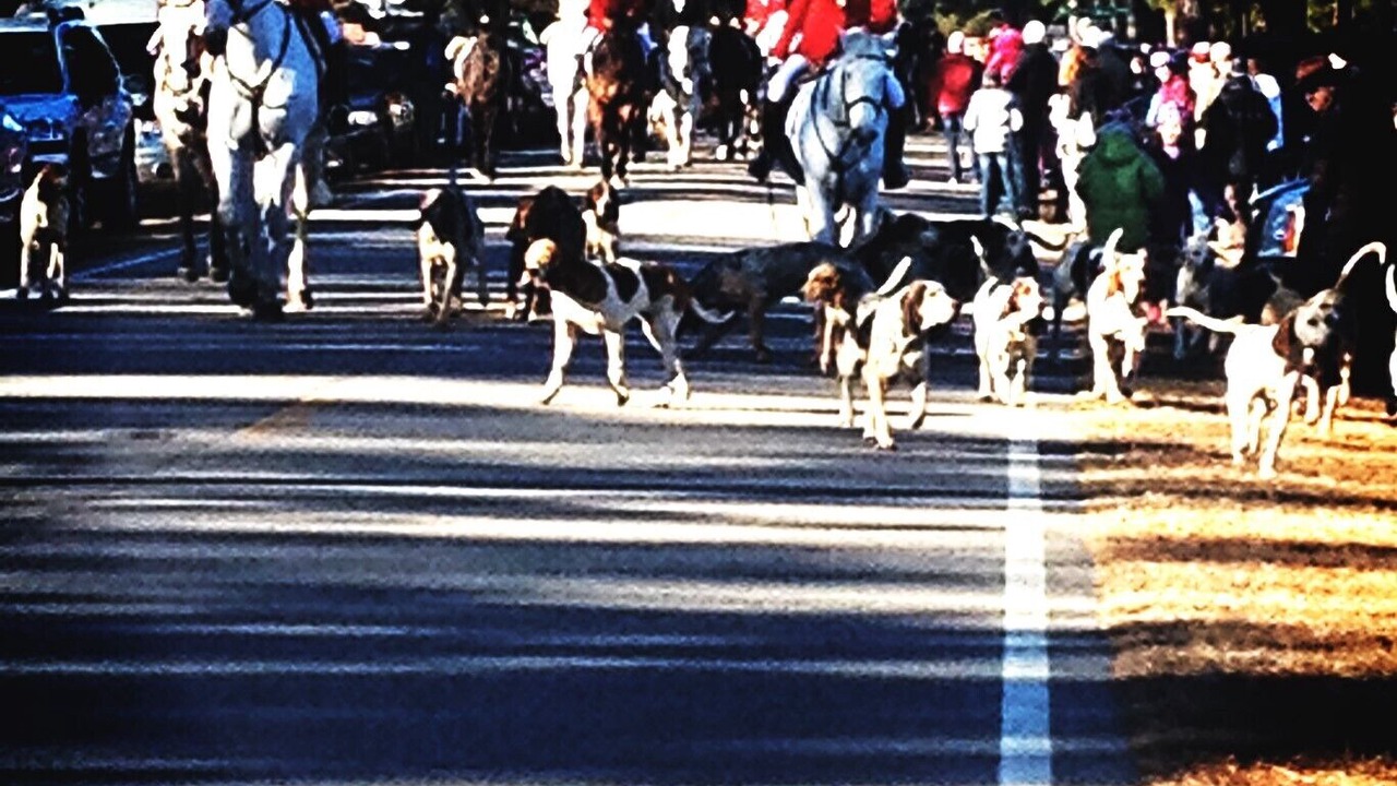 Photo of Others in Southern Pines