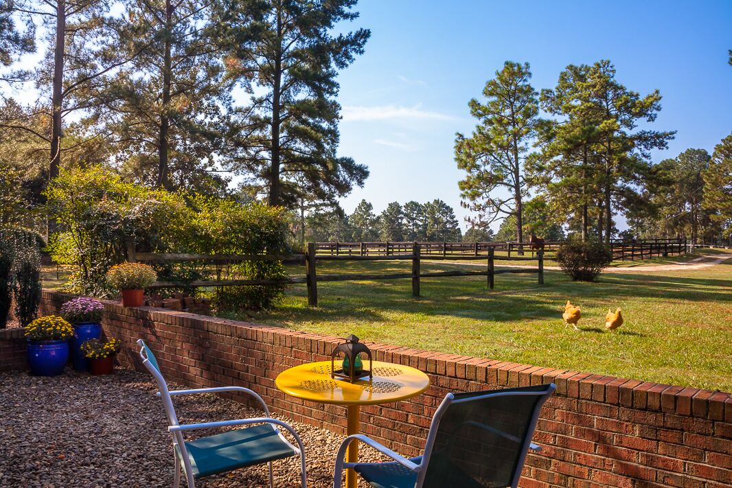 Photo of Others in Southern Pines