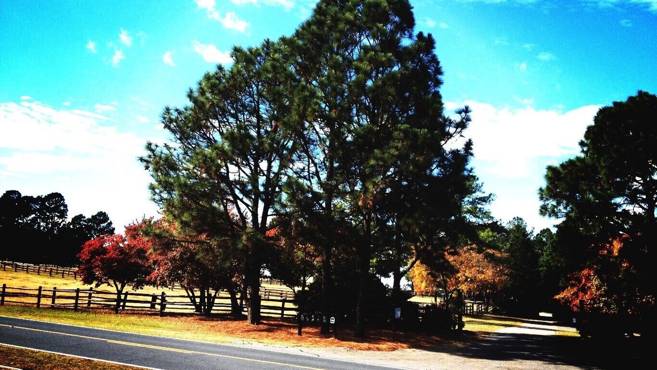 Photo of Others in Southern Pines
