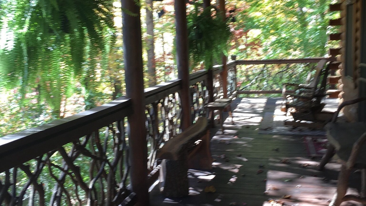 Photo of Outdoor in Horse Shoe