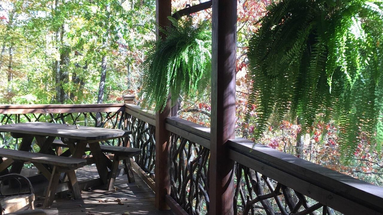 Photo of Outdoor in Horse Shoe