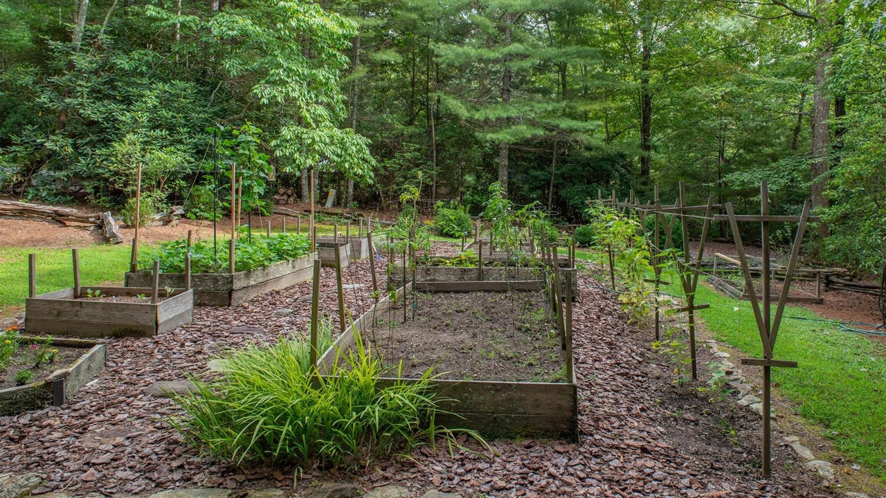 Photo of Outdoor in Pisgah Forest