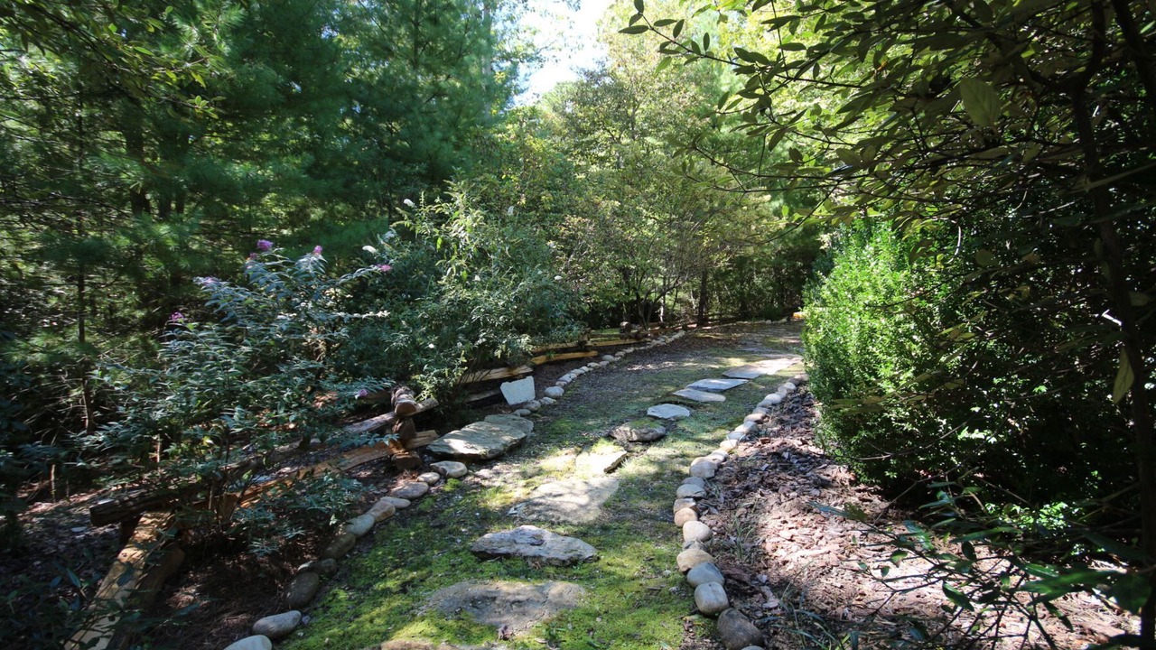 Photo of Others in Pisgah Forest