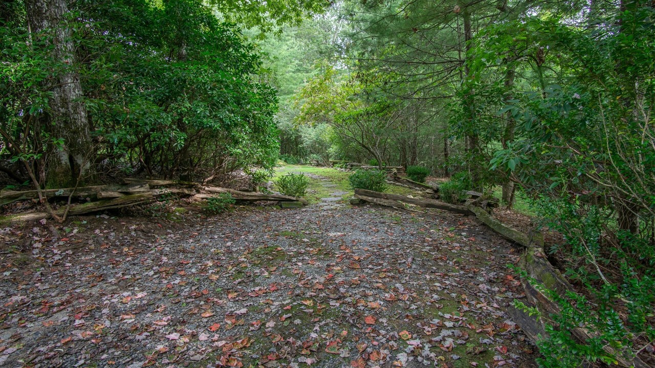 Photo of Outdoor in Pisgah Forest