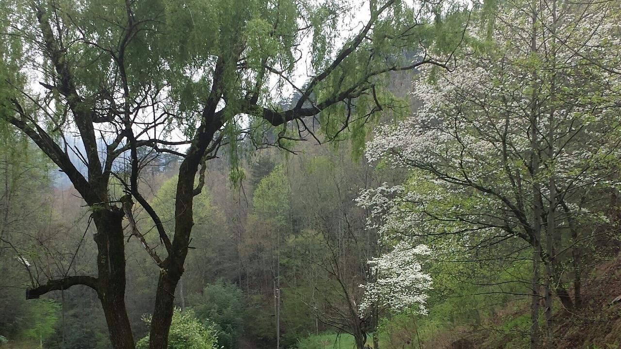 Photo of Outdoor in Andrews