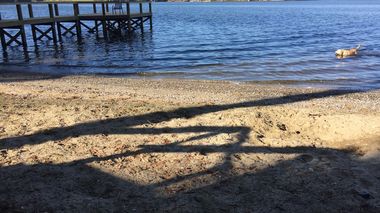Photo of Others in Steele Creek