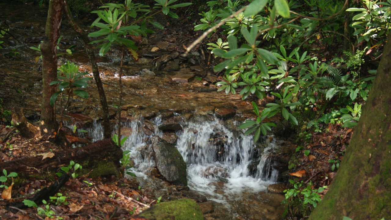 Photo of Outdoor in Penrose