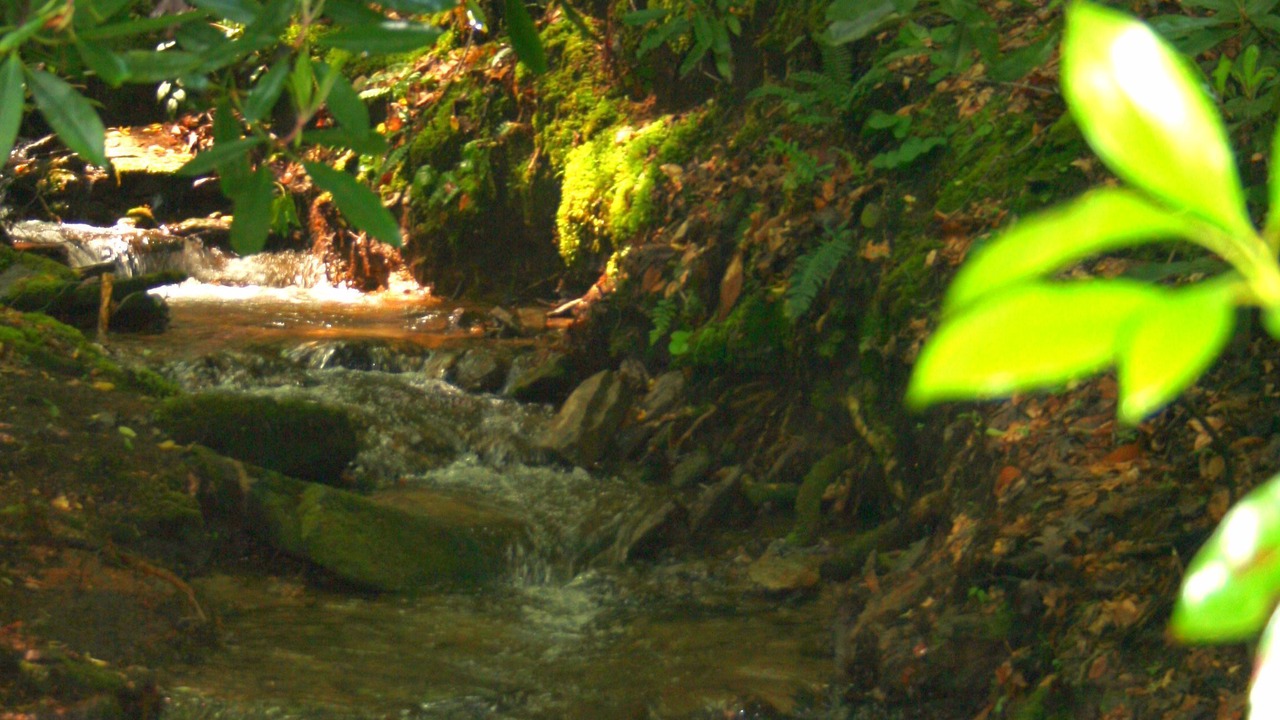 Photo of Outdoor in Penrose