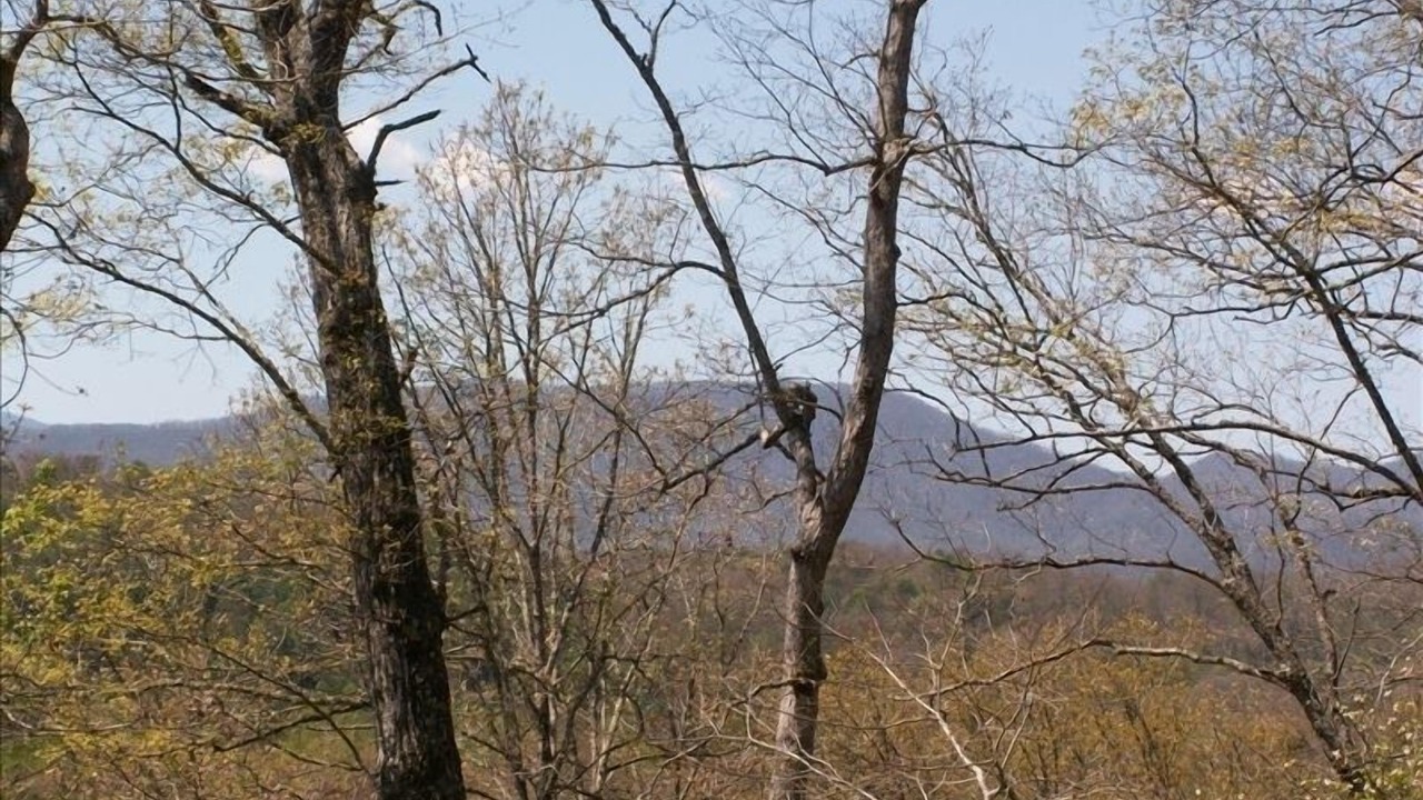 Photo of Others in Qualla