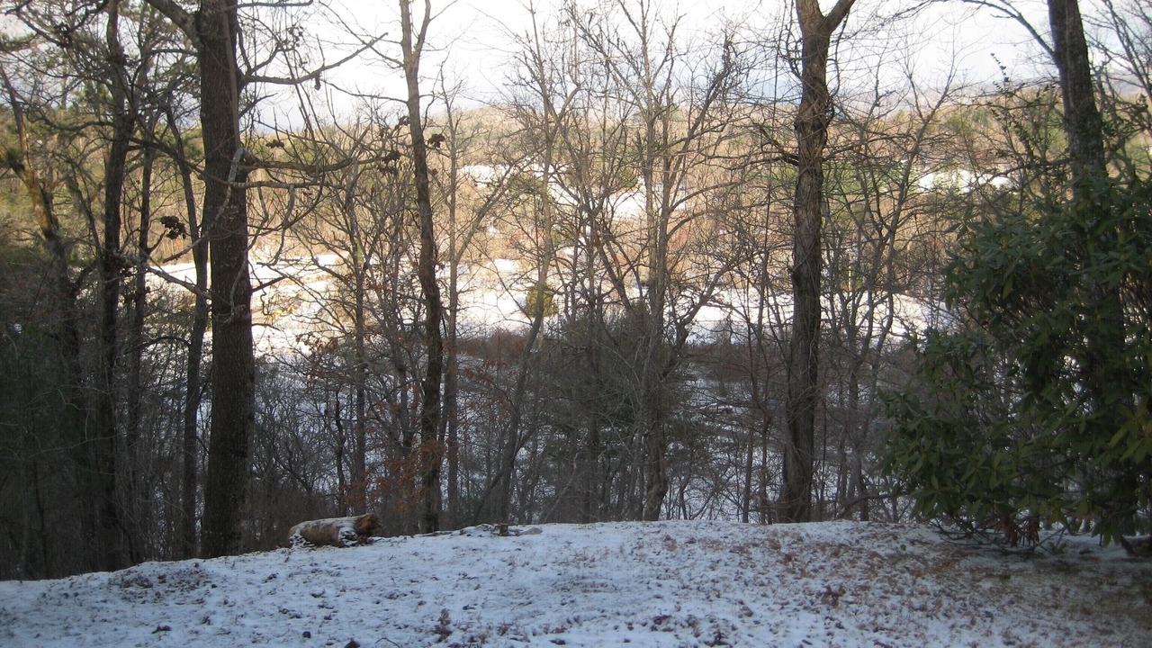 Photo of Outdoor in Qualla