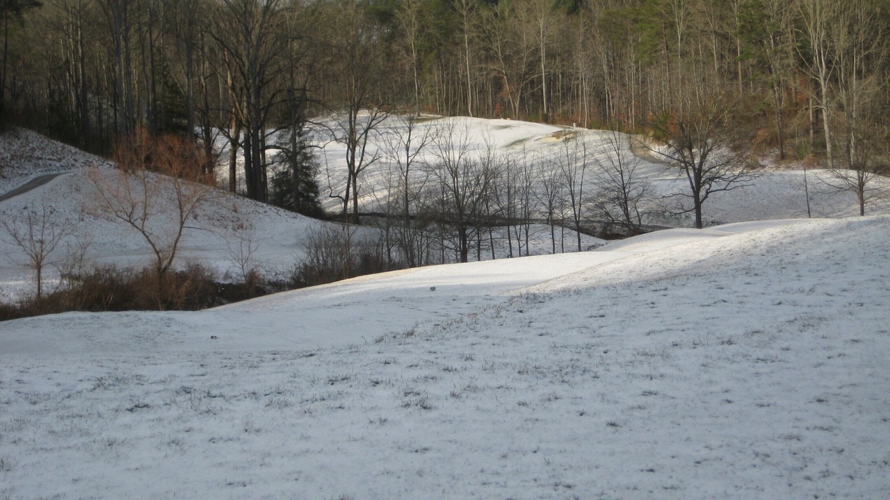 Photo of Others in Qualla
