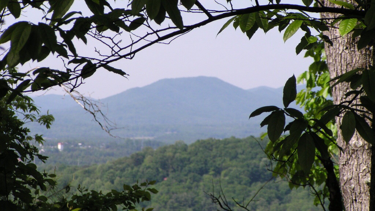 Photo of Others in Skyland