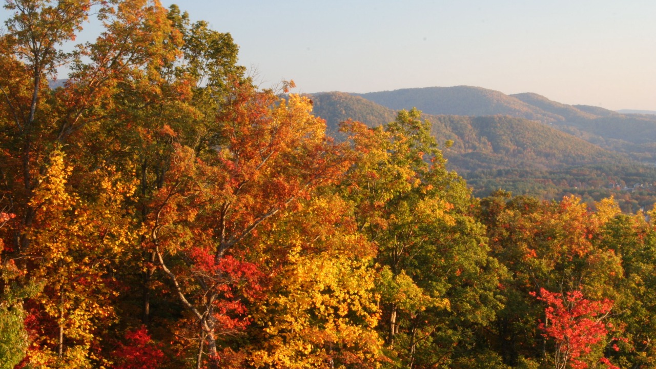 Photo of Others in Skyland