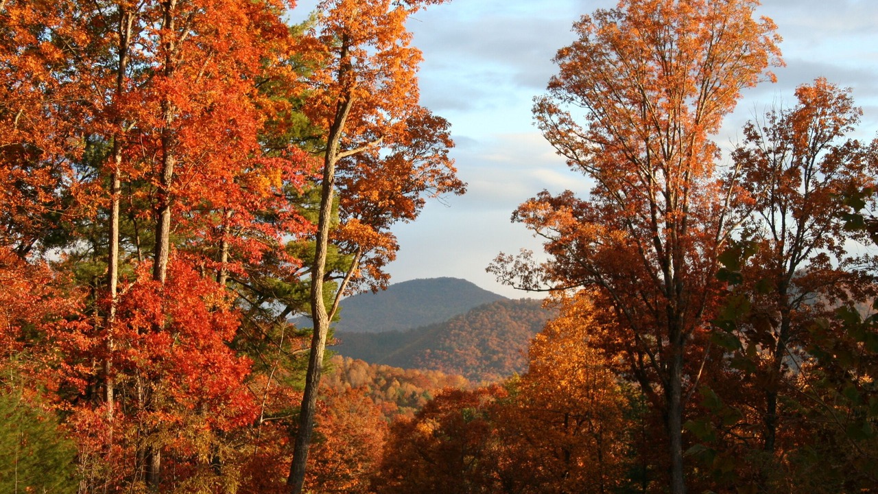 Photo of Others in Skyland