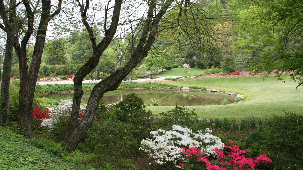 Photo of Others in Skyland