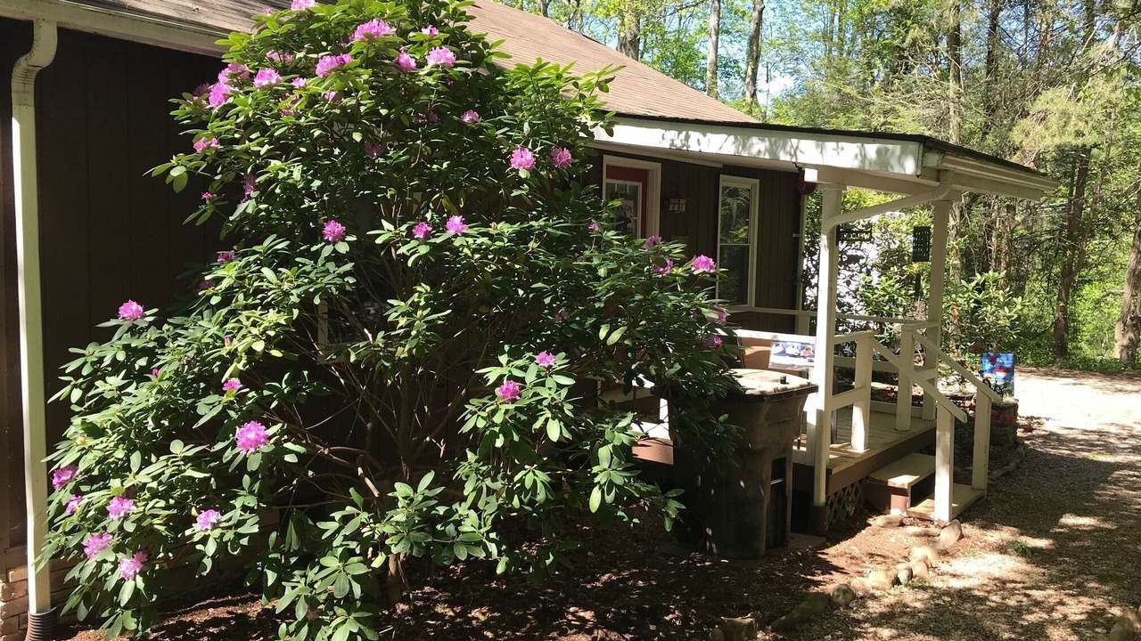 Photo of Patio Balcony in Black Mountain