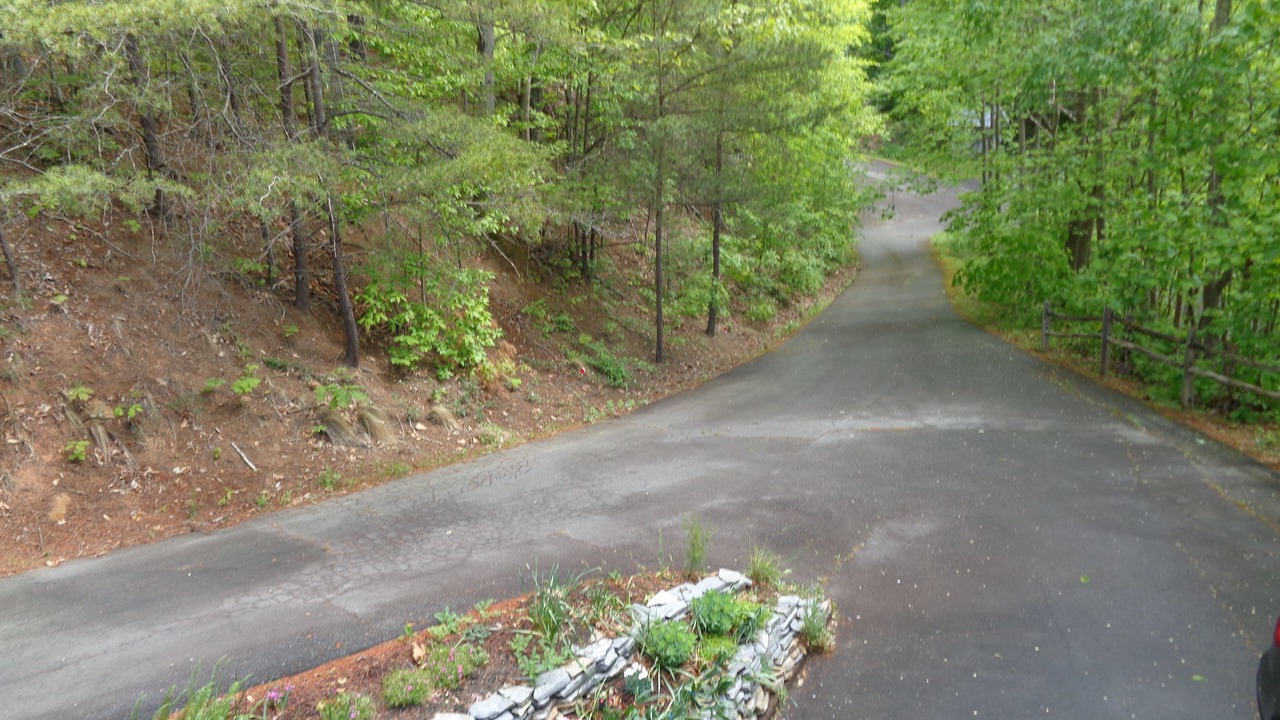 Photo of Others in Weaverville