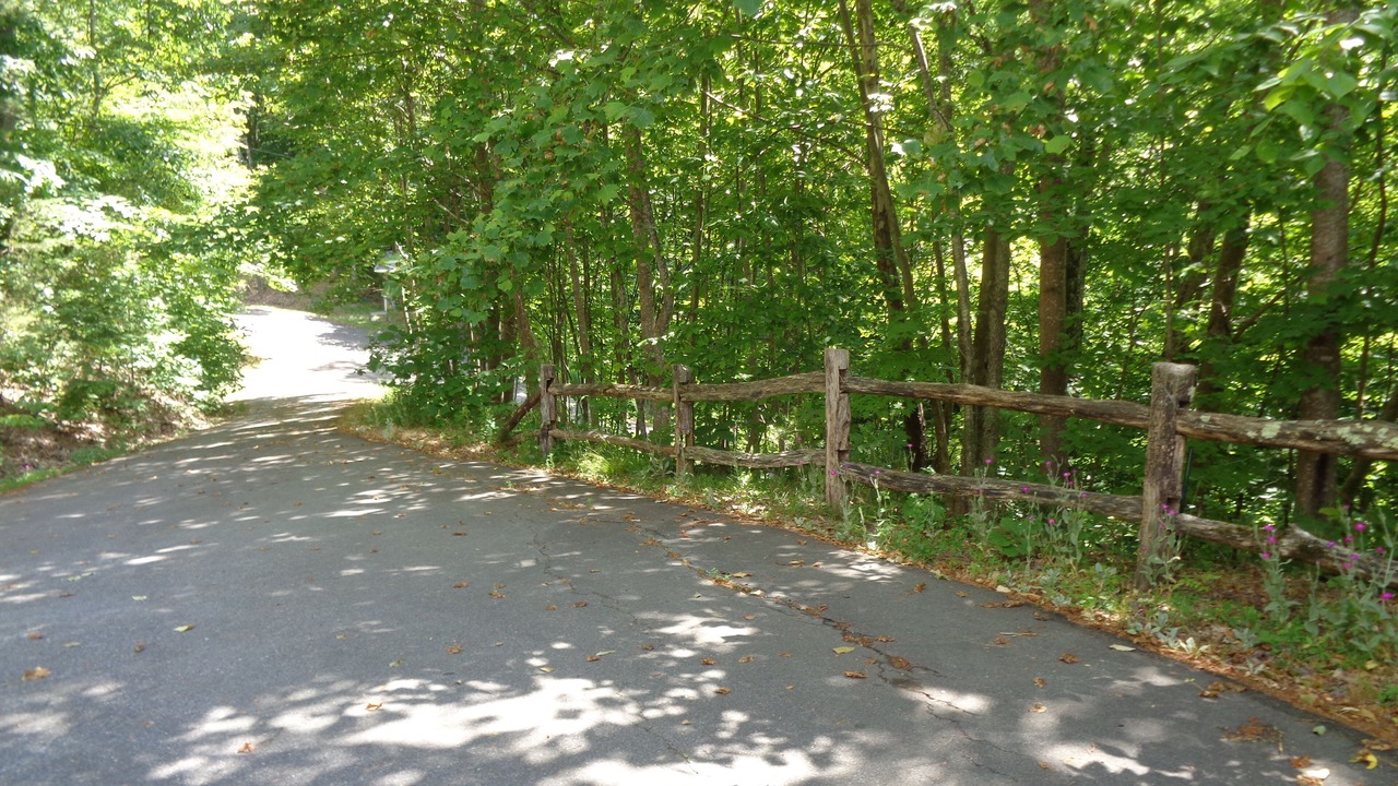 Photo of Outdoor in Weaverville