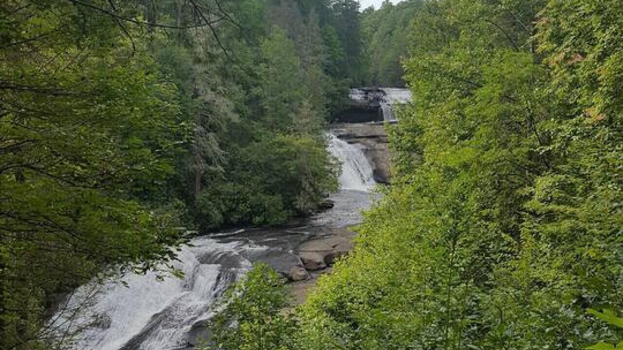 Photo of Others in Rambling Ridge