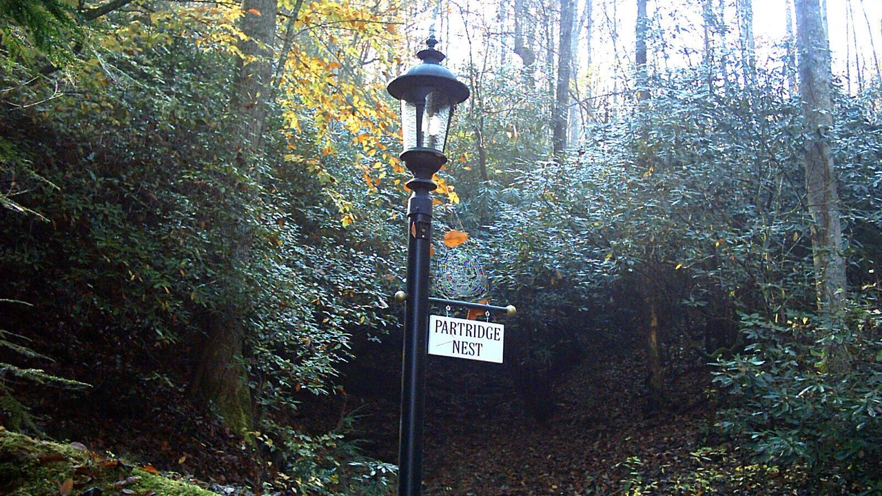 Photo of Others in Pisgah Forest
