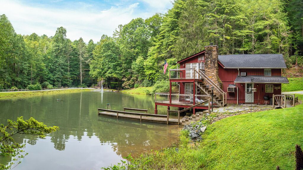 Photo of Outdoor in Pisgah Forest