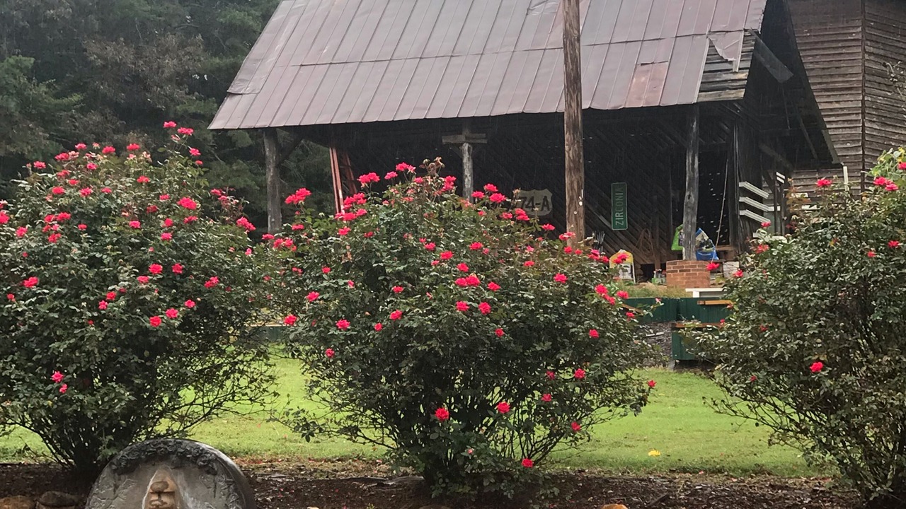 Photo of Outdoor in Lake Lure