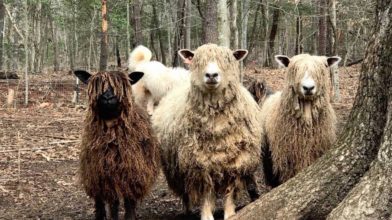 Photo of Others in Lake Lure