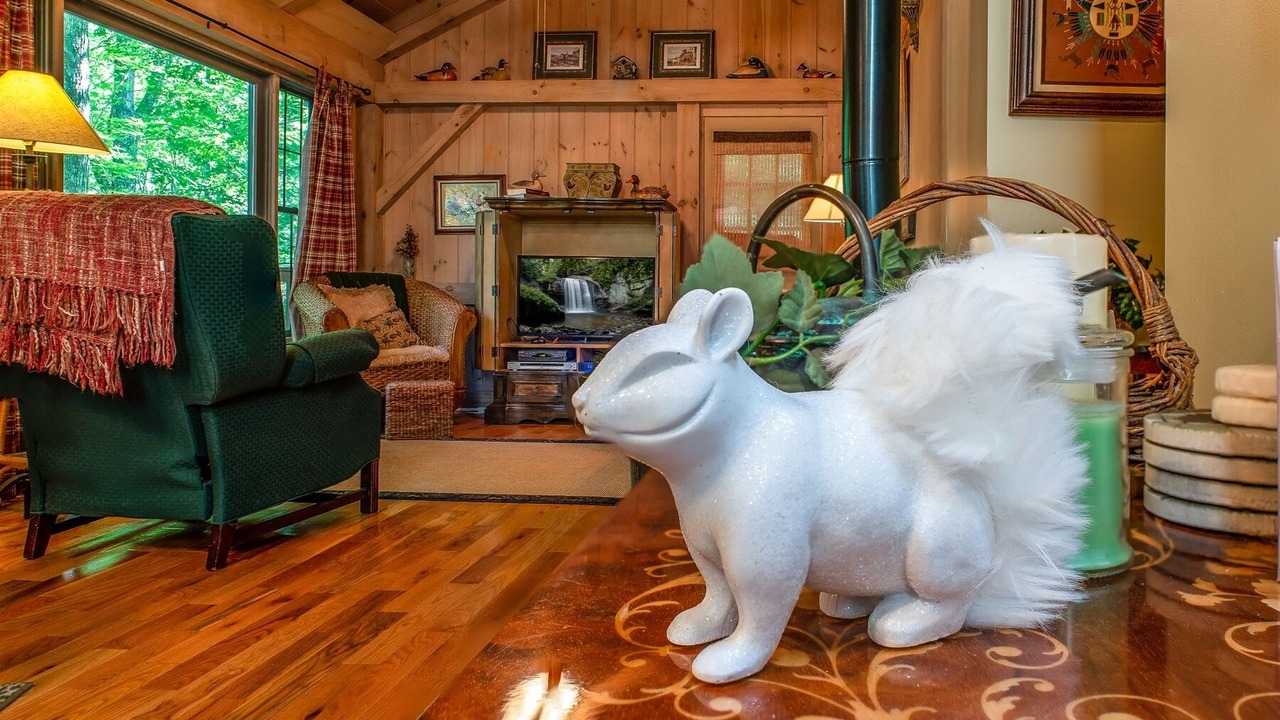 Photo of Livingroom in Brevard