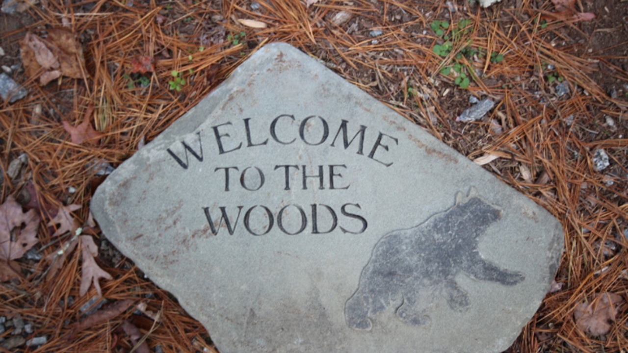 Photo of Others in Brevard