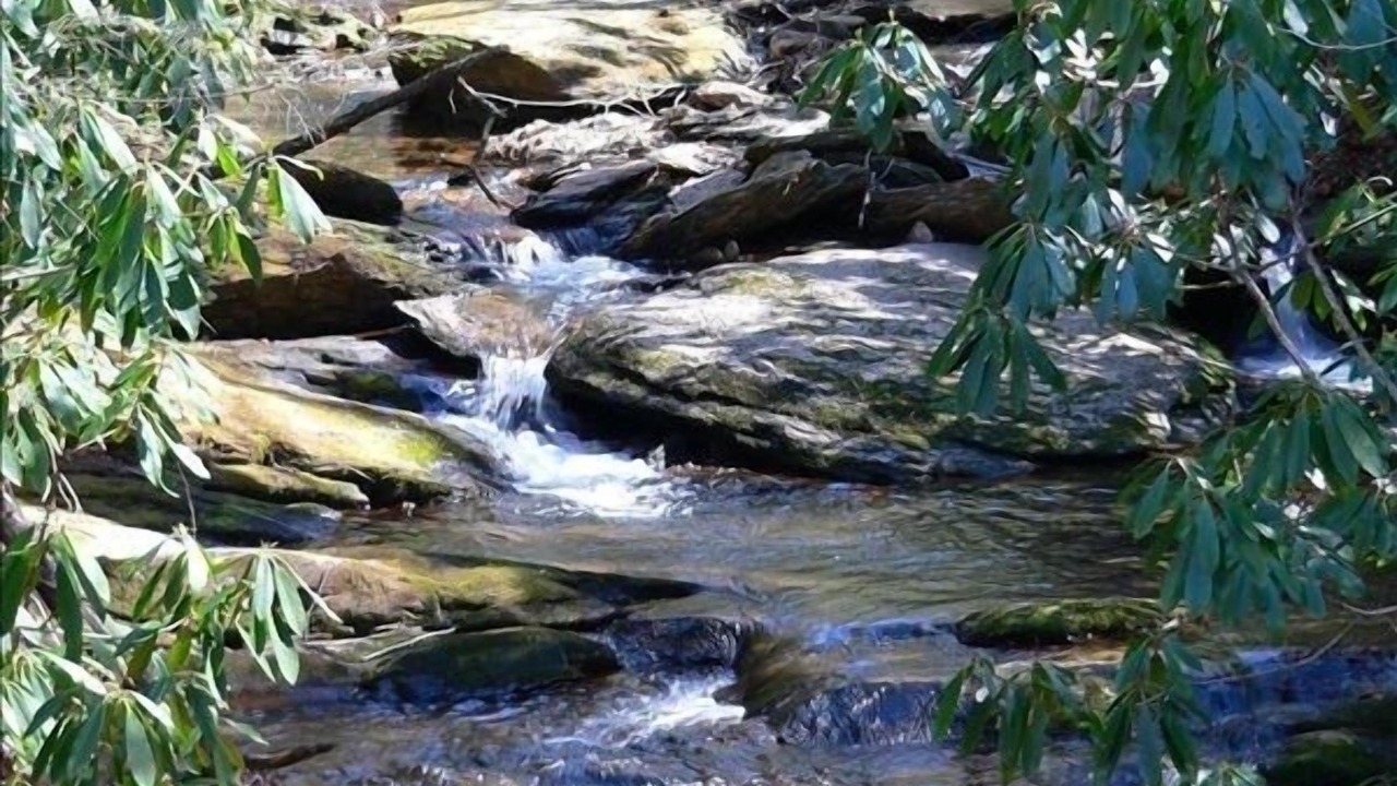 Photo of Outdoor in Burnsville