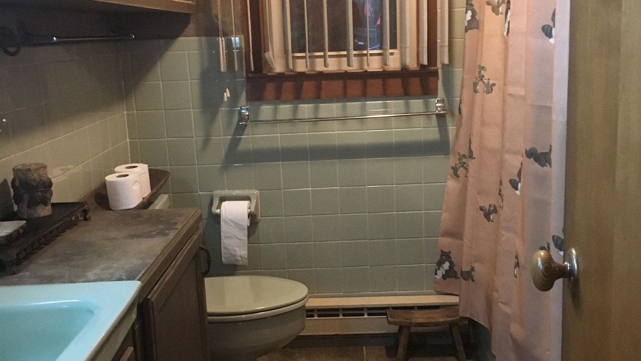 Photo of Bathroom in Spruce Pine