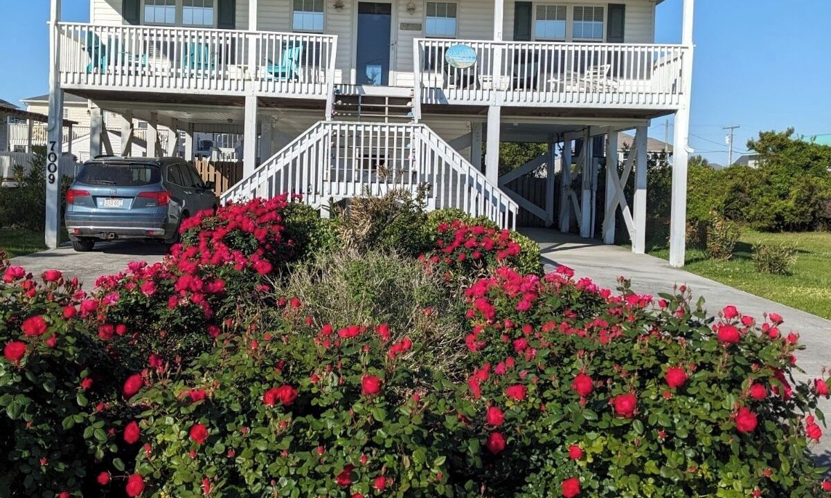 Photo of Others in Surf City