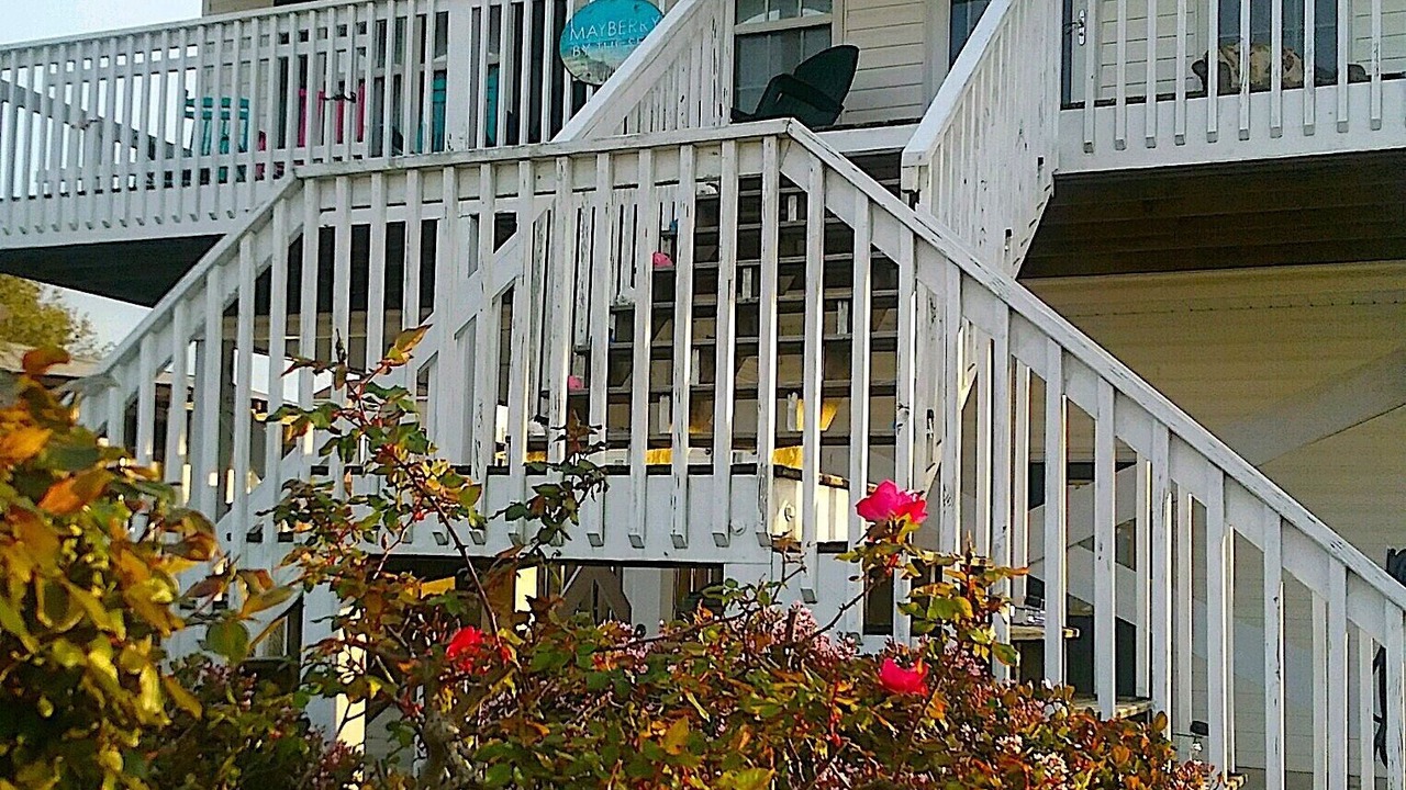 Photo of Others in Surf City