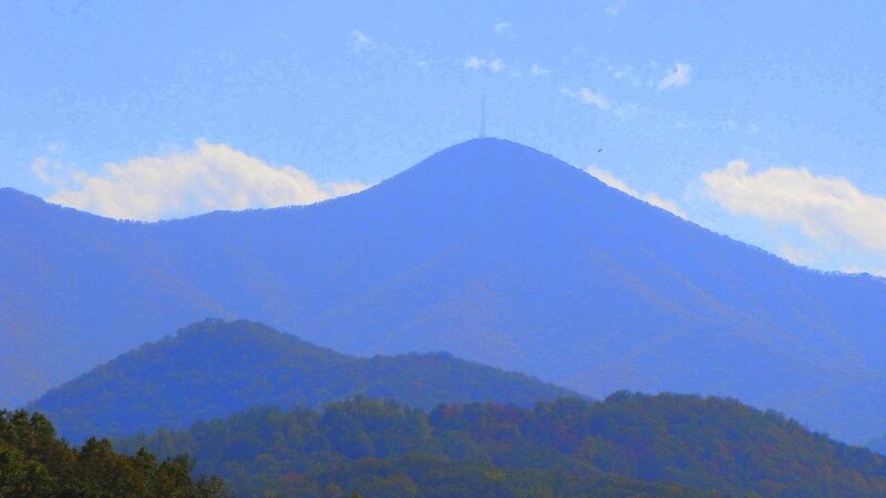 Photo of Others in Candler