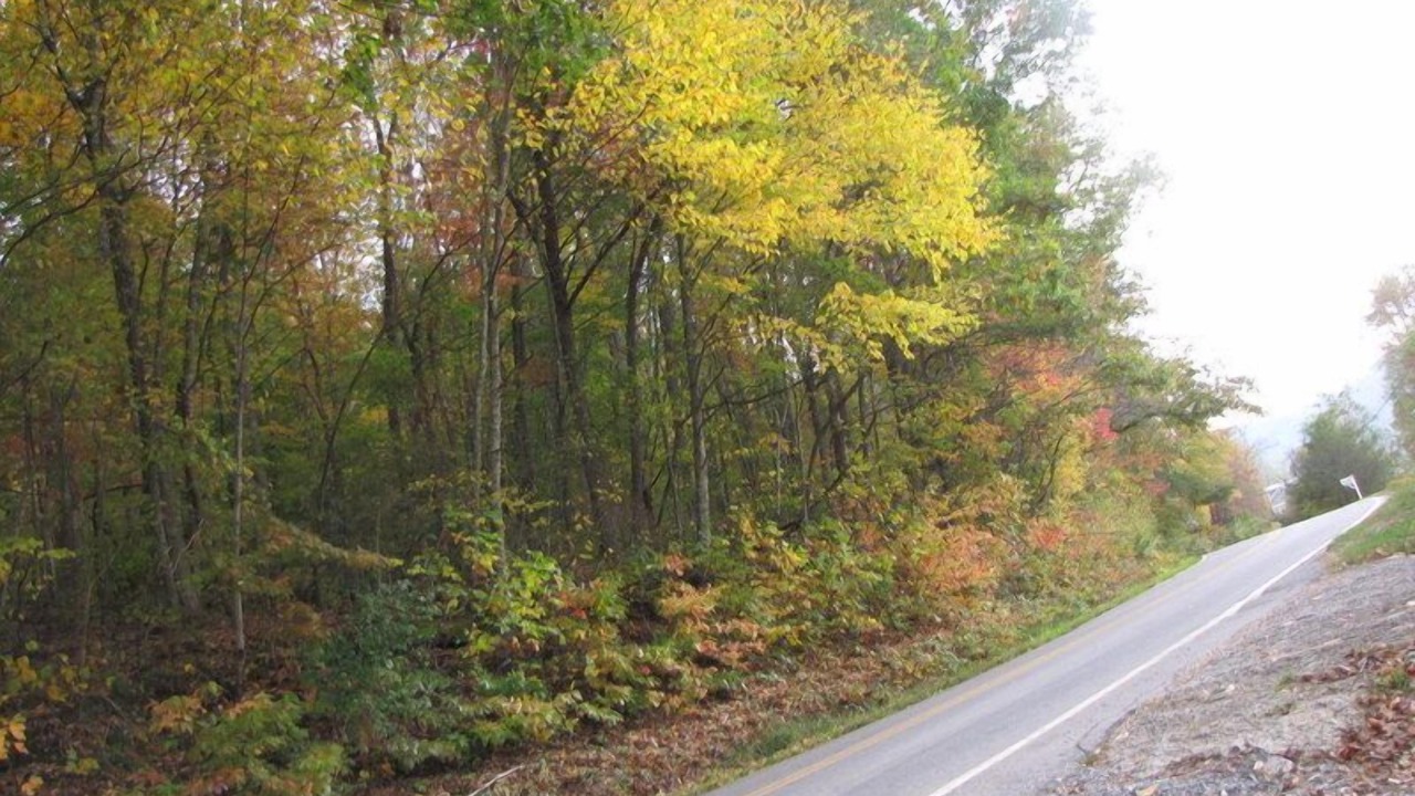 Photo of Others in Candler