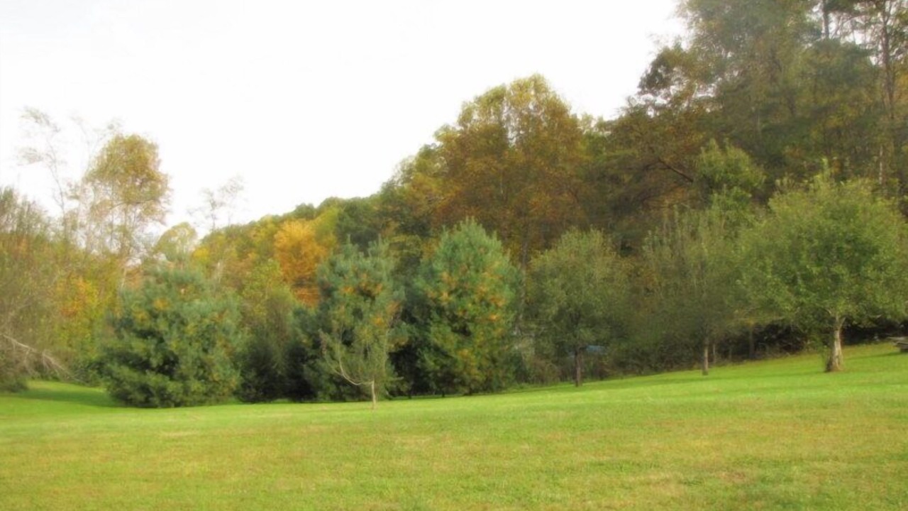 Photo of Outdoor in Candler