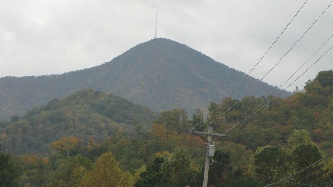 Photo of Others in Candler