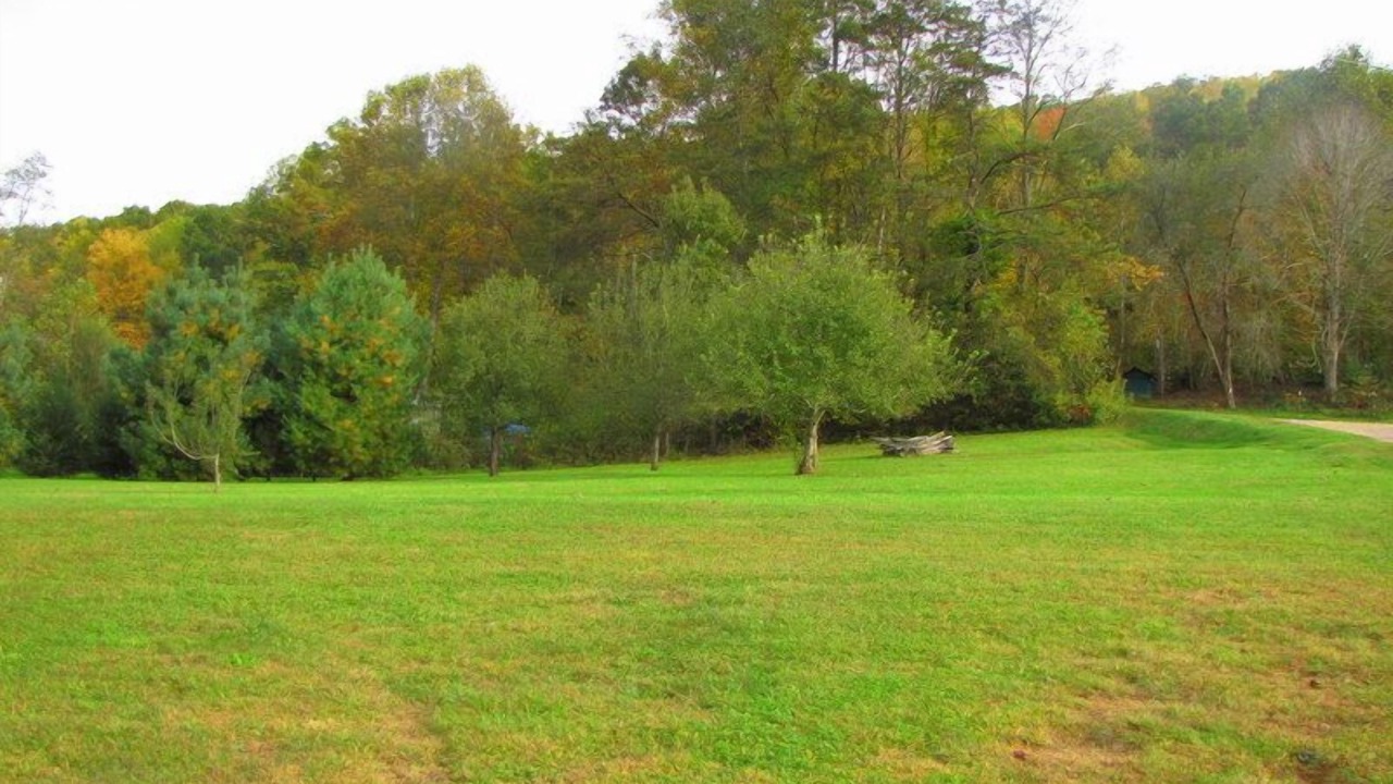Photo of Others in Candler