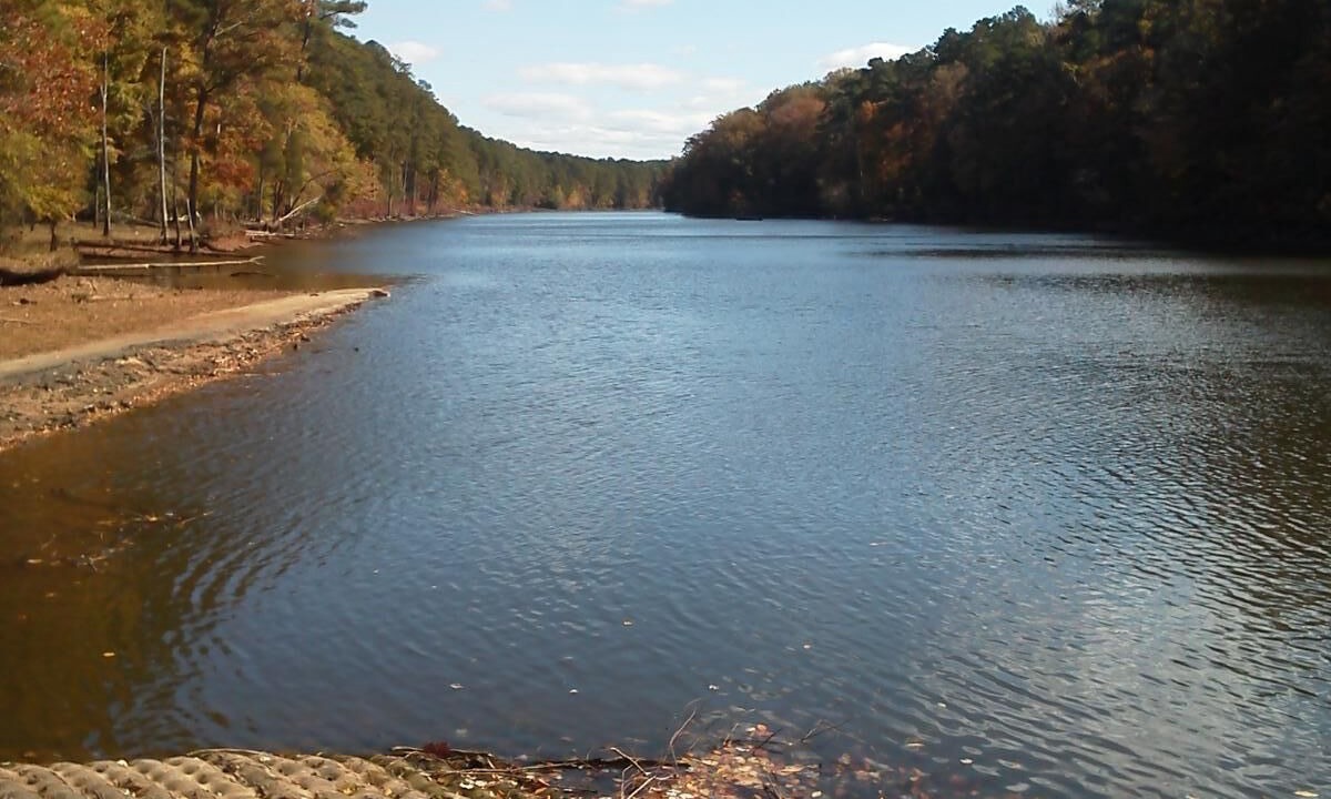 Photo of Outdoor in Bynum
