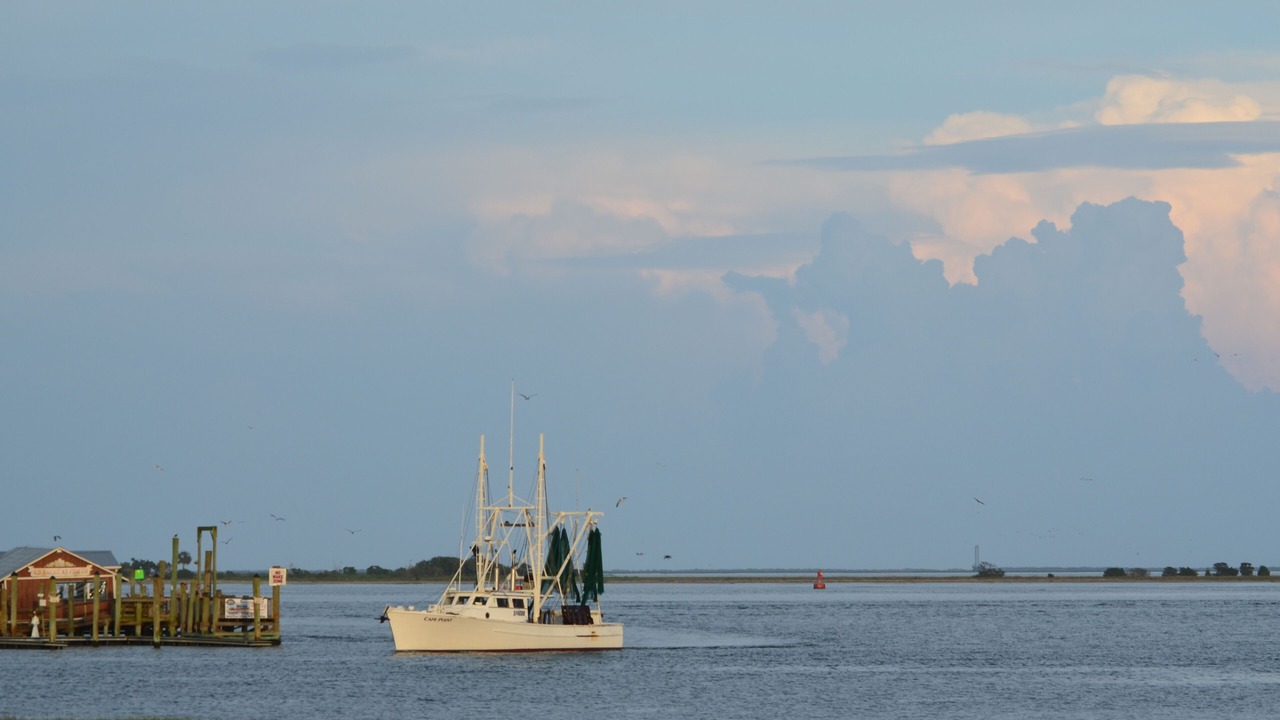 Photo of Outdoor in Southport