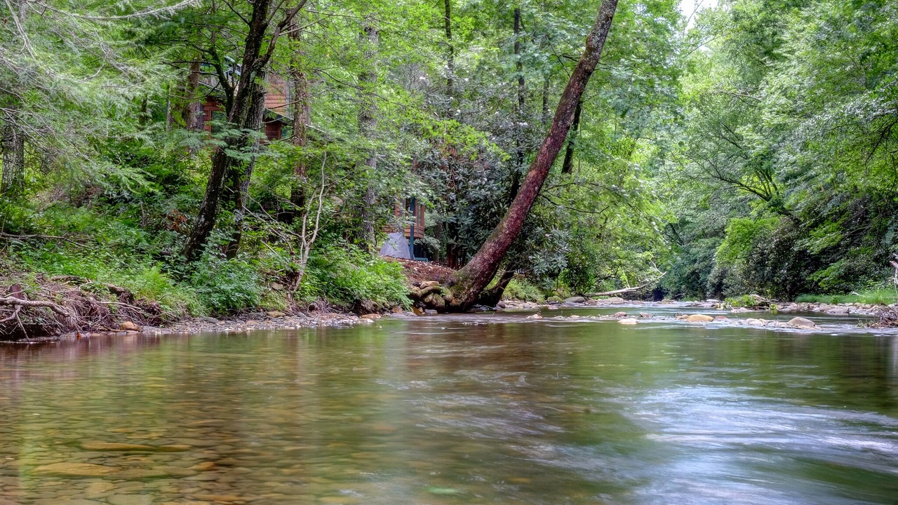 Photo of Others in Hayesville