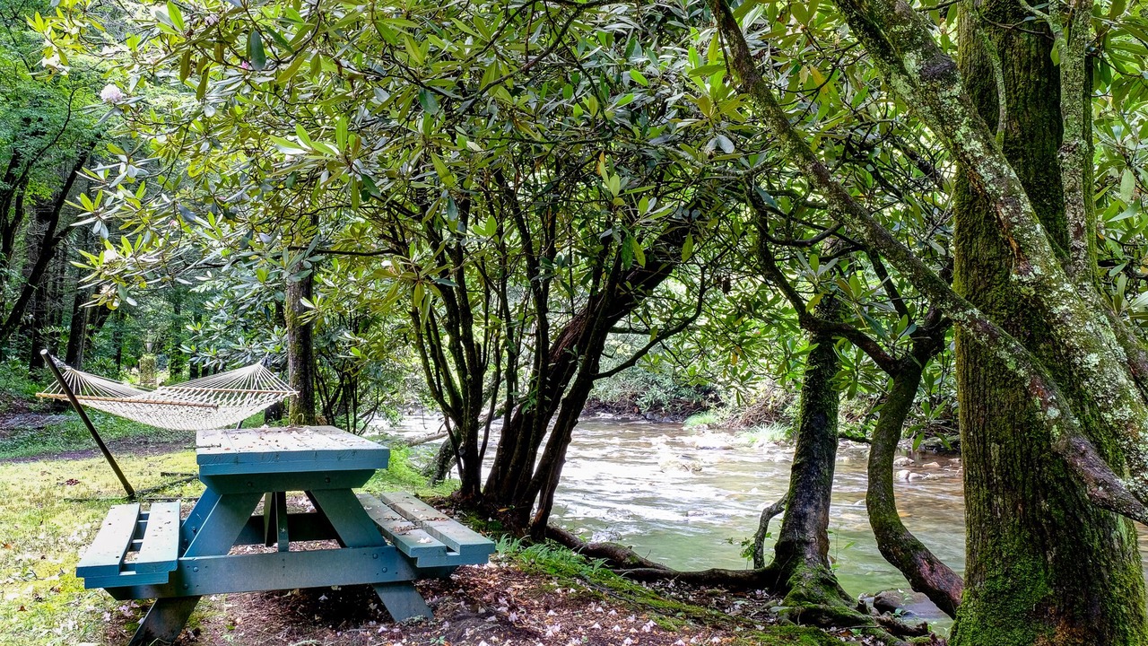Photo of Outdoor in Hayesville