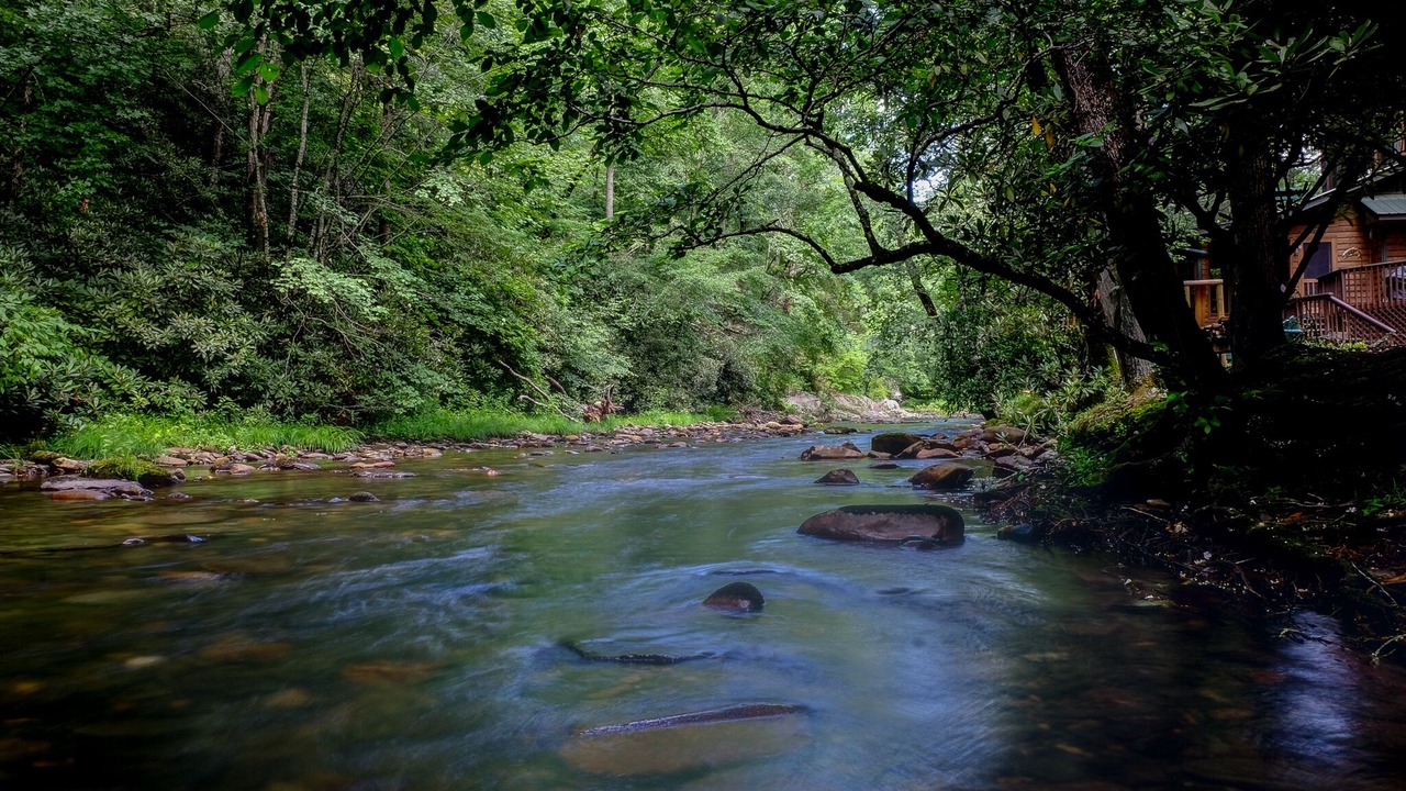 Photo of Outdoor in Hayesville