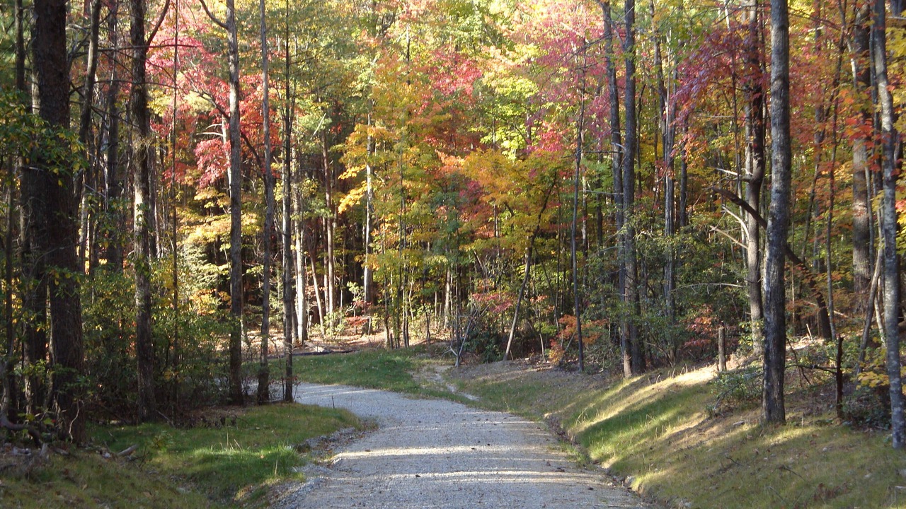 Photo of Outdoor in Brevard