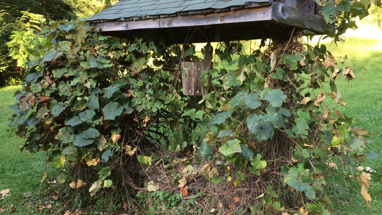 Photo of Outdoor in Jefferson